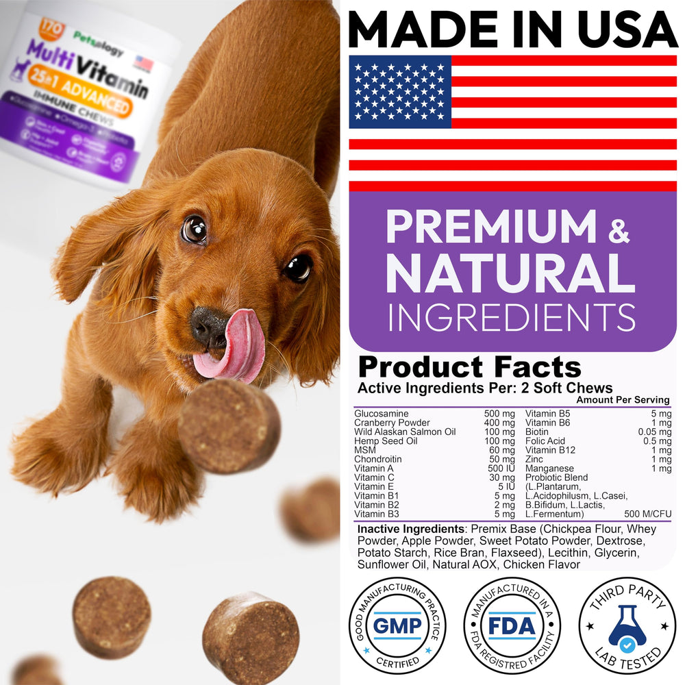Petsology dog multivitamin digestive health and immune support