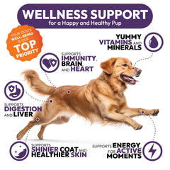 Petsology dog multivitamin probiotics antioxidants for gut and immunity