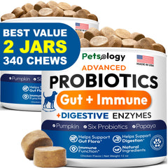 Petsology dog probiotics bottle with 340 chews for digestive support