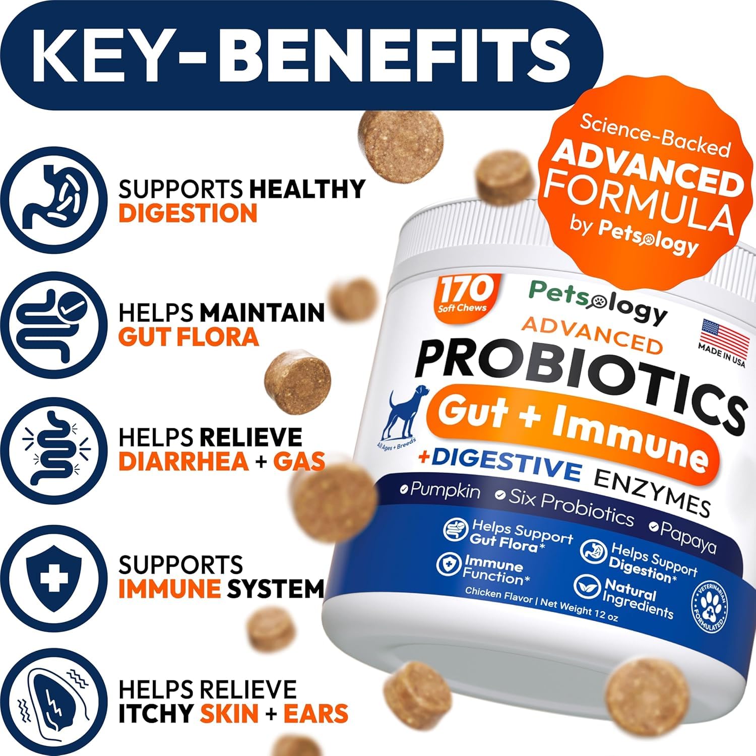 Petsology dog probiotics chews close-up highlighting texture