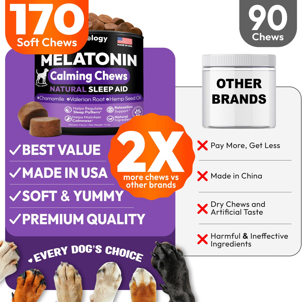 Dog relaxing during fireworks with Petsology melatonin chews