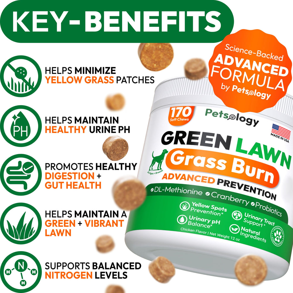 Petsology dog urine neutralizer chews close-up showing probiotic enzymes for gut balance.