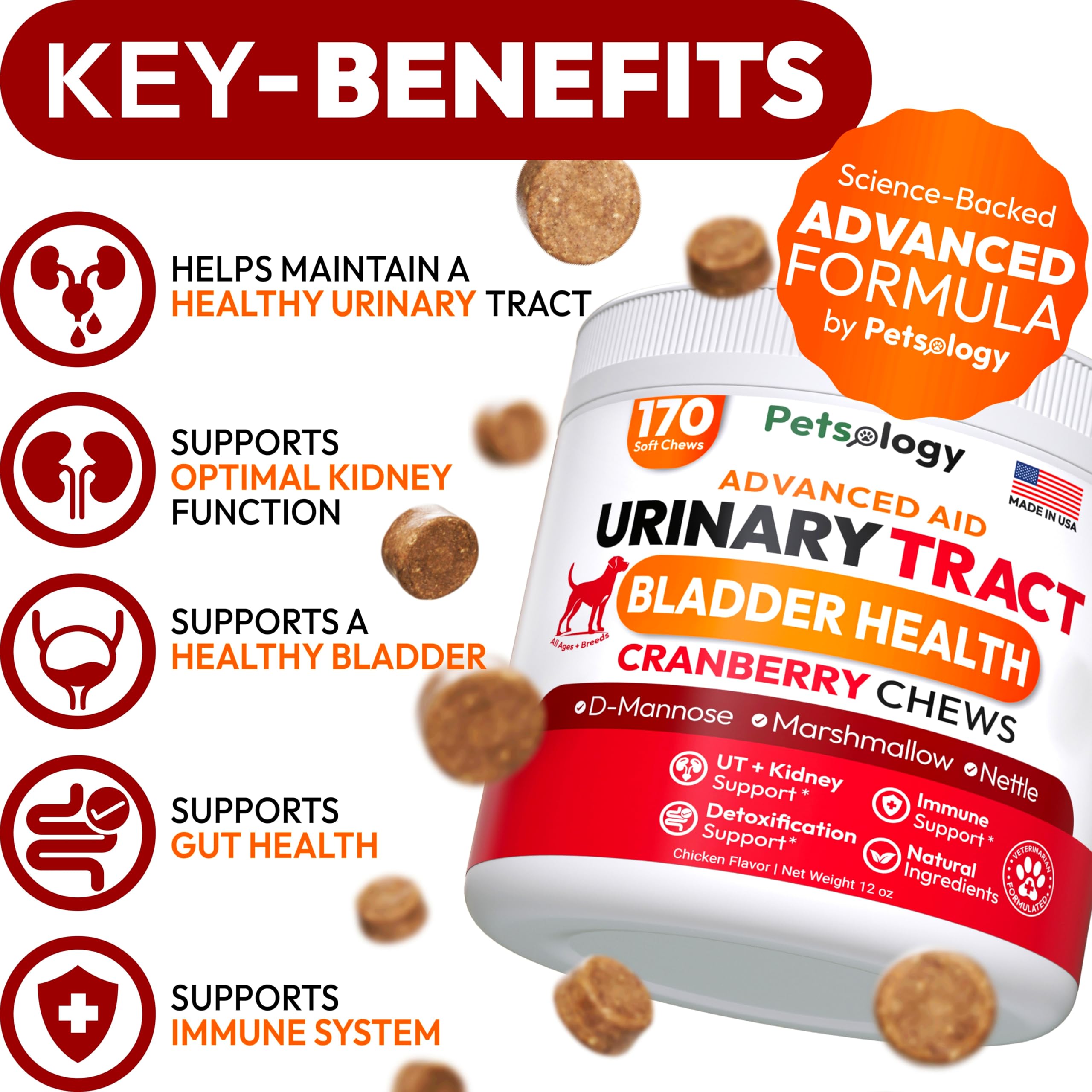 Petsology Dog UTI Chews bottle side — convenient daily treat for bladder support.