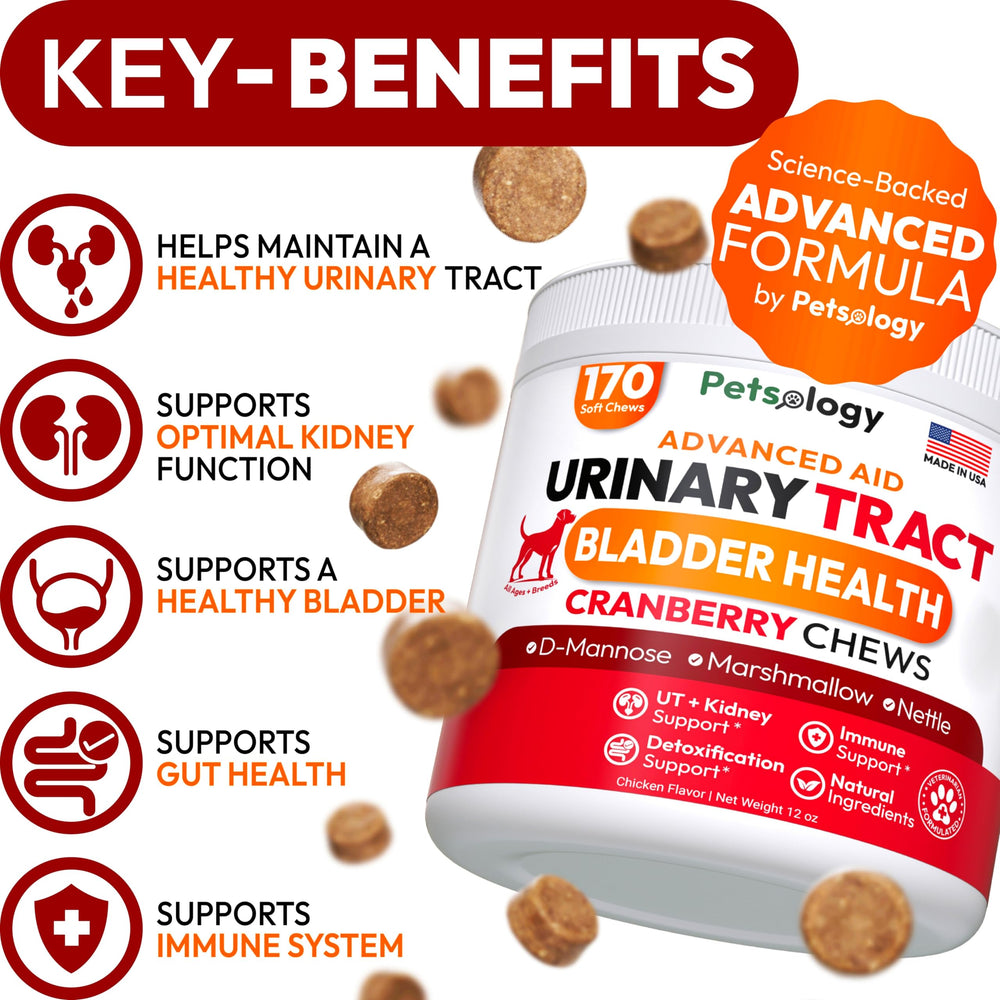 Petsology Dog UTI Chews bottle side — convenient daily treat for bladder support.