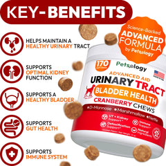 Petsology Dog UTI Chews bottle side — convenient daily treat for bladder support.