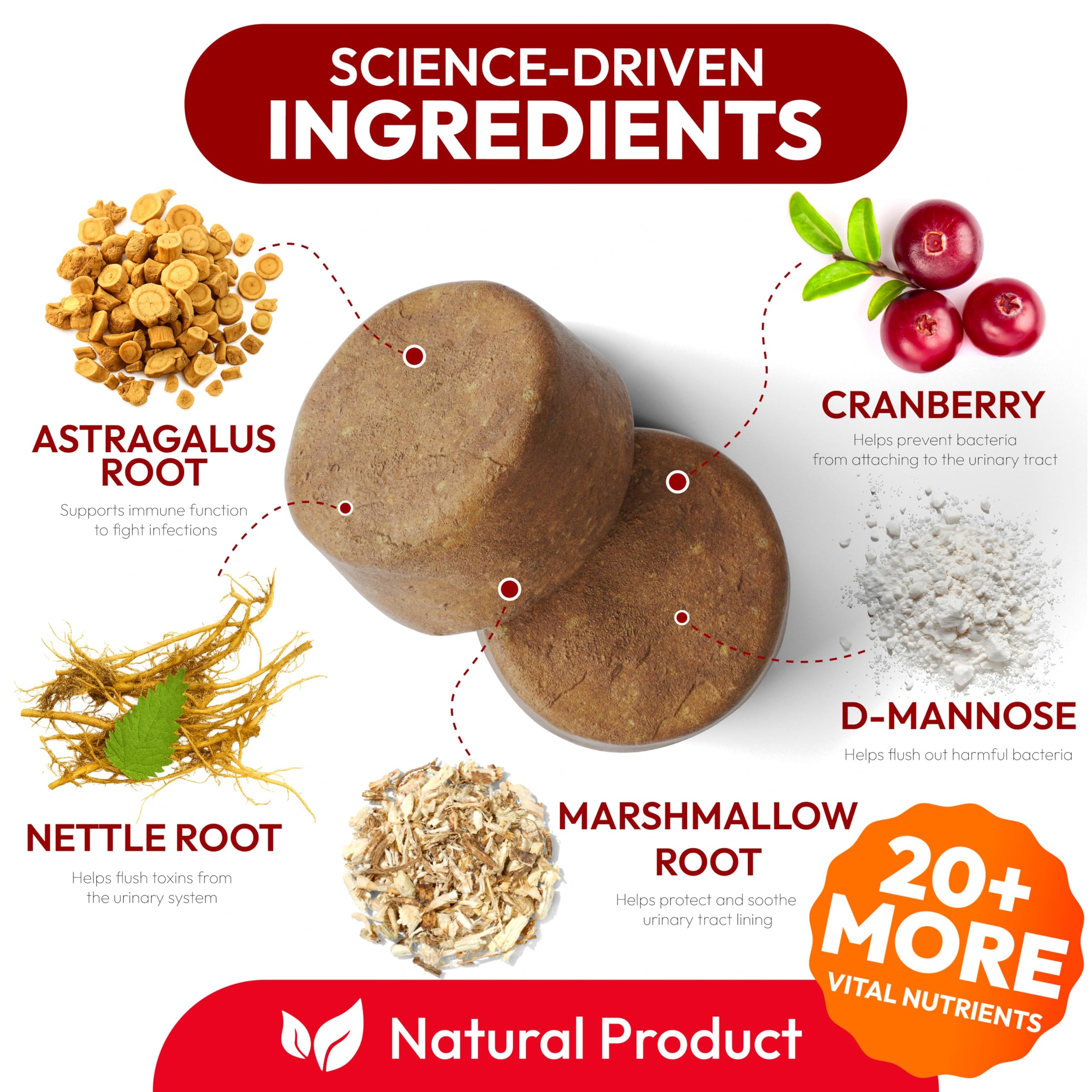 Petsology Dog UTI Chews close cranberry-dmannose — highlighting key ingredients.
