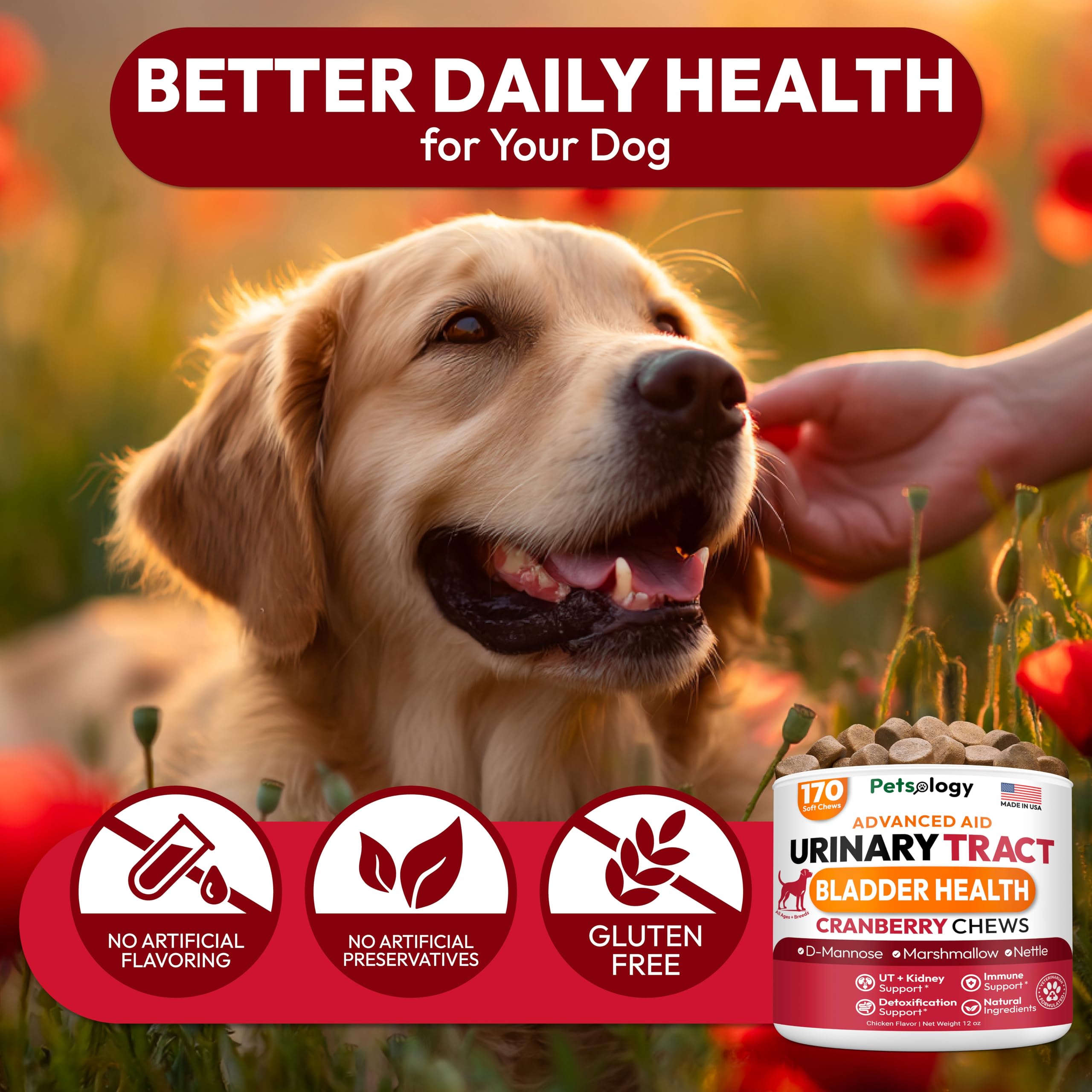 Petsology Dog UTI Chews cranberry ingredient close-up — cranberry extract featured.