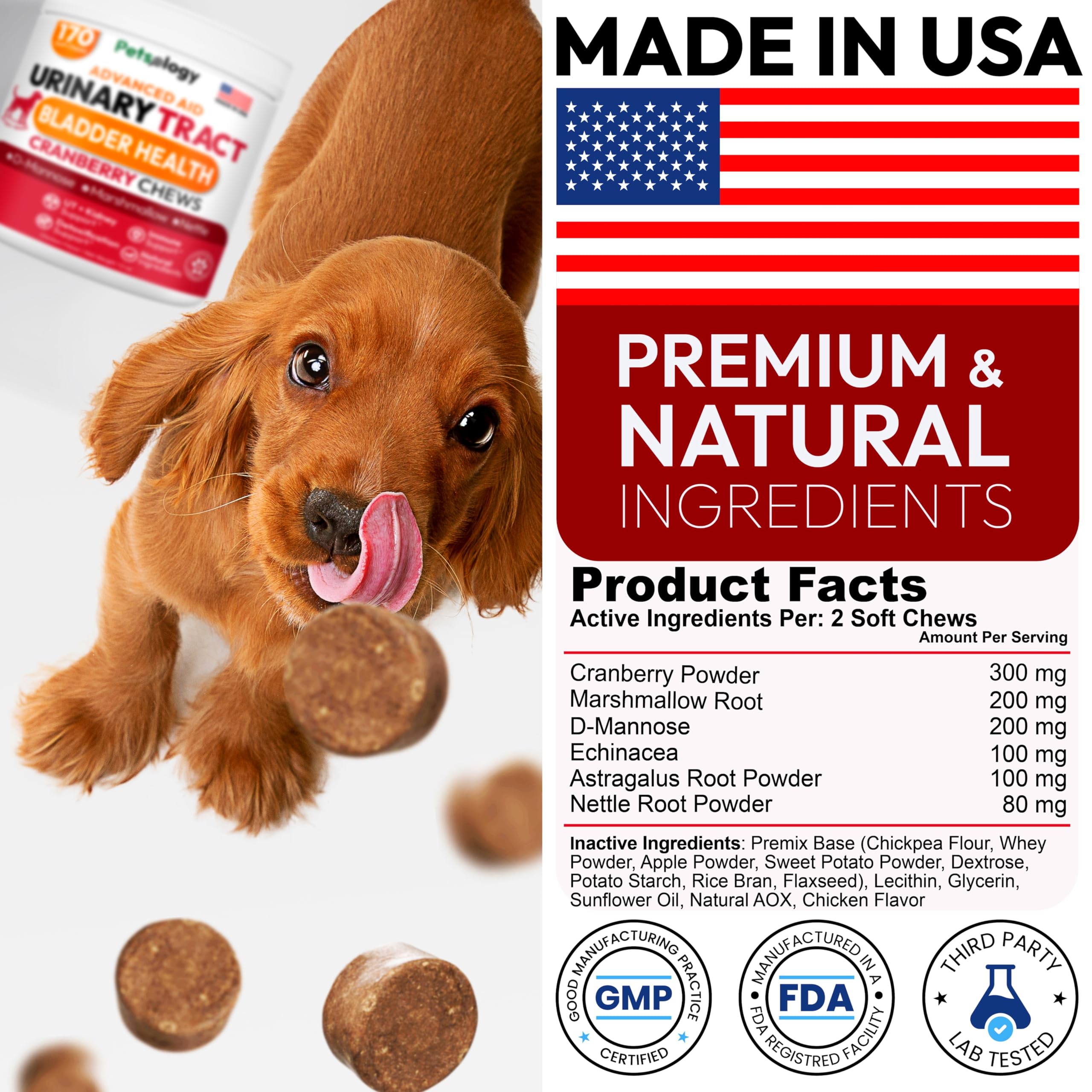 Petsology Dog UTI Chews D-Mannose visible scoop — shows supplement components.