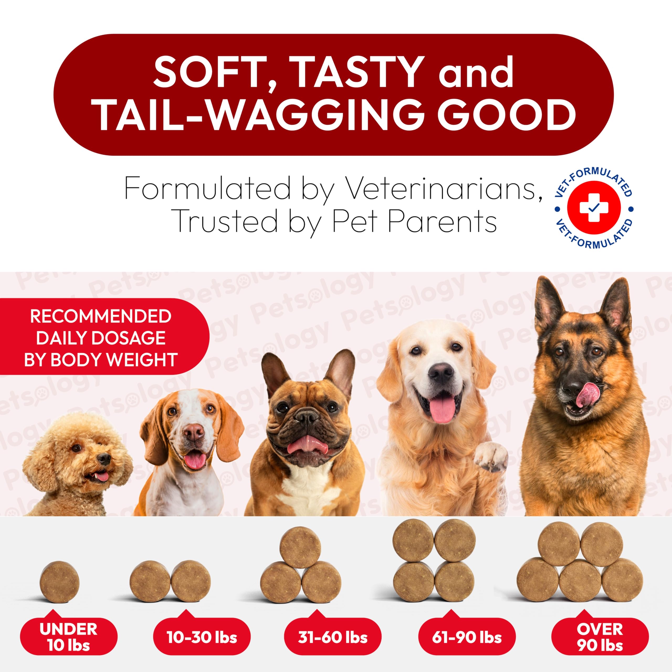 Petsology Dog UTI Chews made-in-USA label — produced in an FDA-registered facility.