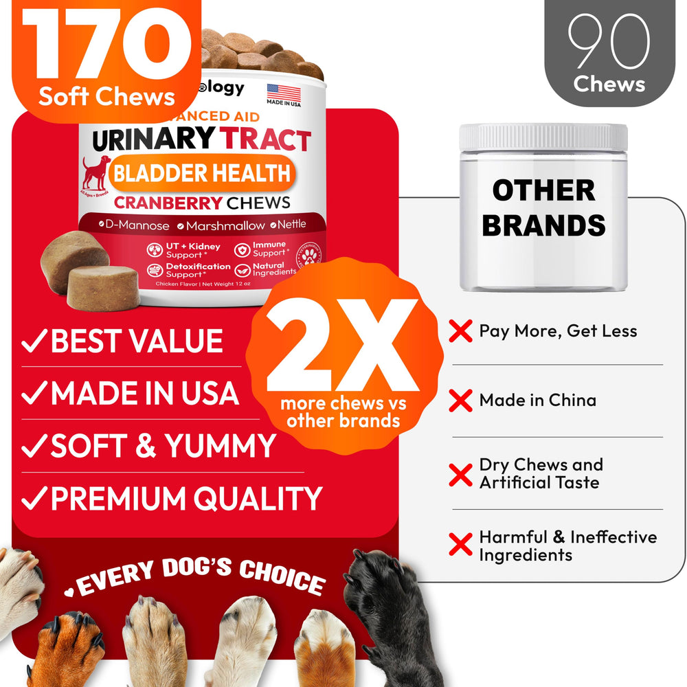 Petsology Dog UTI Chews packaging graphics — premium natural ingredients visuals.
