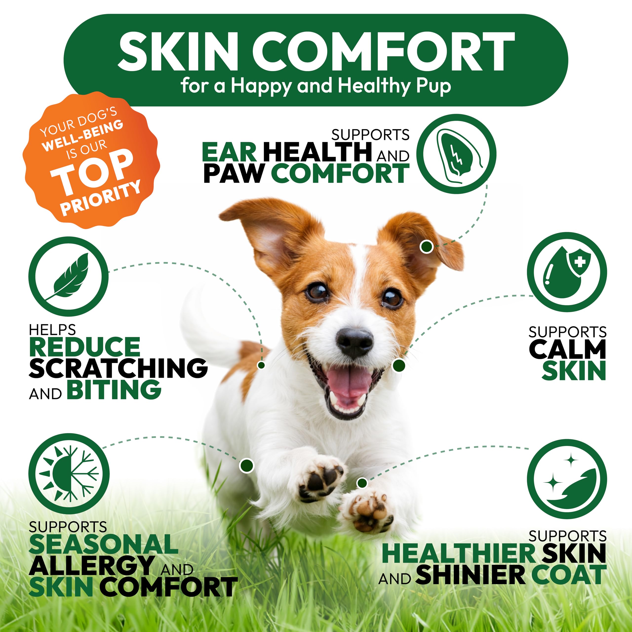 Petsology Coat and skin support chews for dry skin improvement.