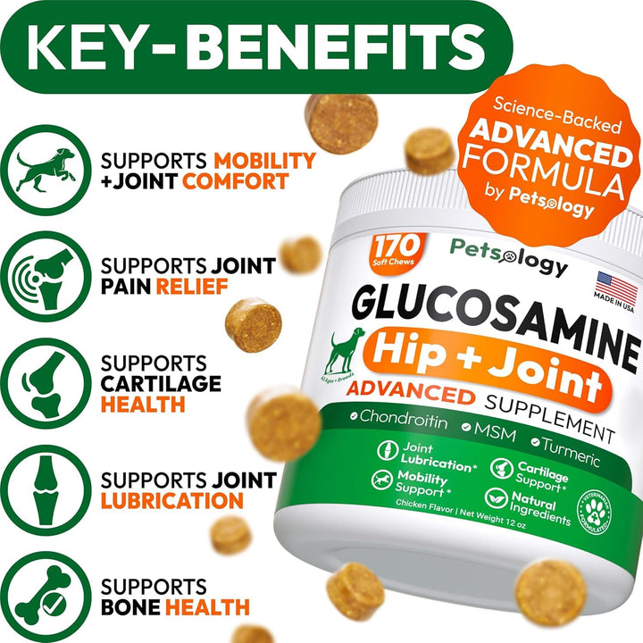 Petsology Glucosamine for Dogs bottle label showing USA-made quality for hip and joint care