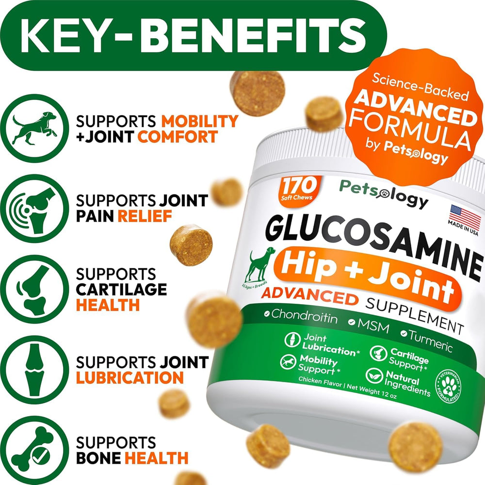 Petsology Glucosamine for Dogs bottle label showing USA-made quality for hip and joint care
