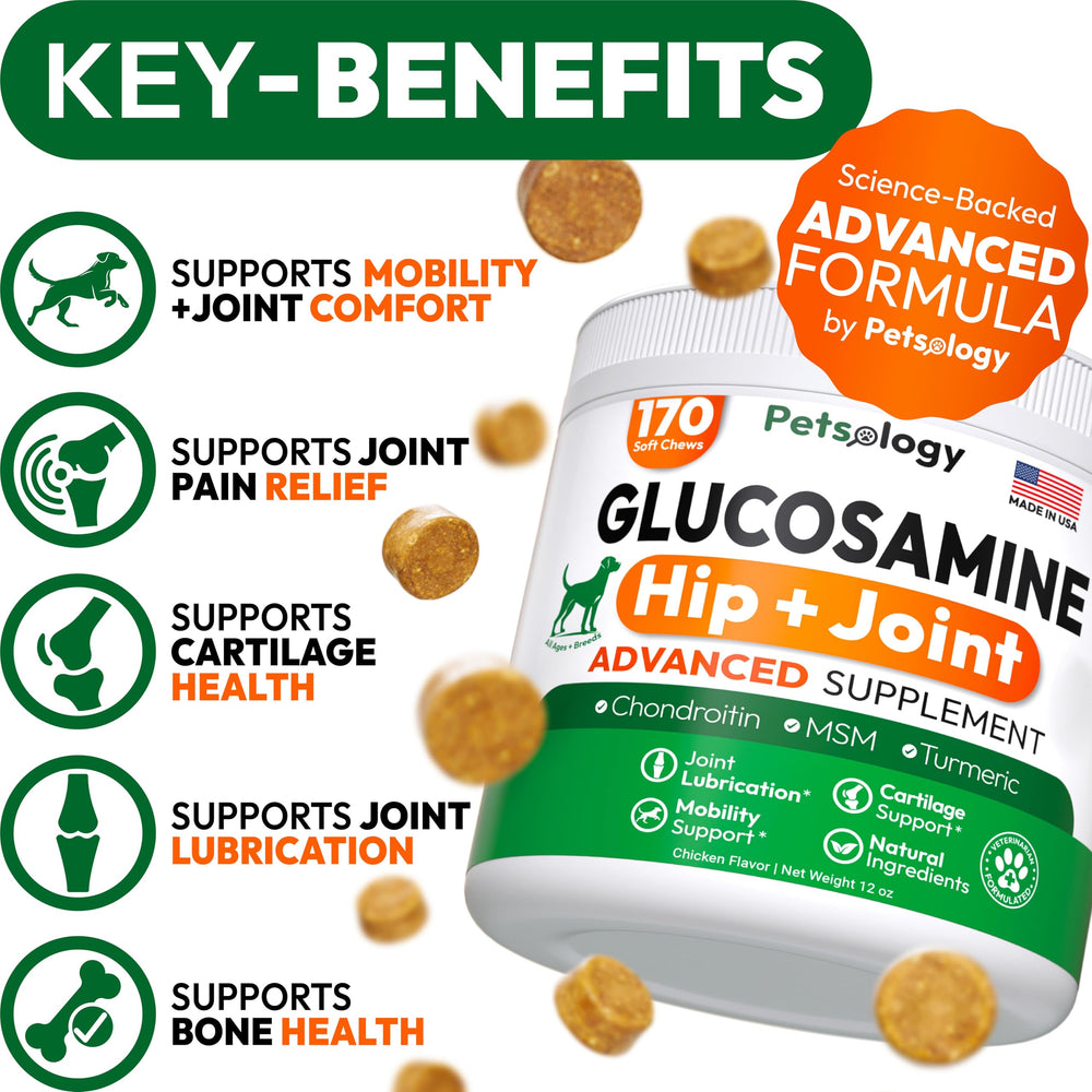 Petsology Glucosamine for Dogs chews close-up highlighting texture and palatability.