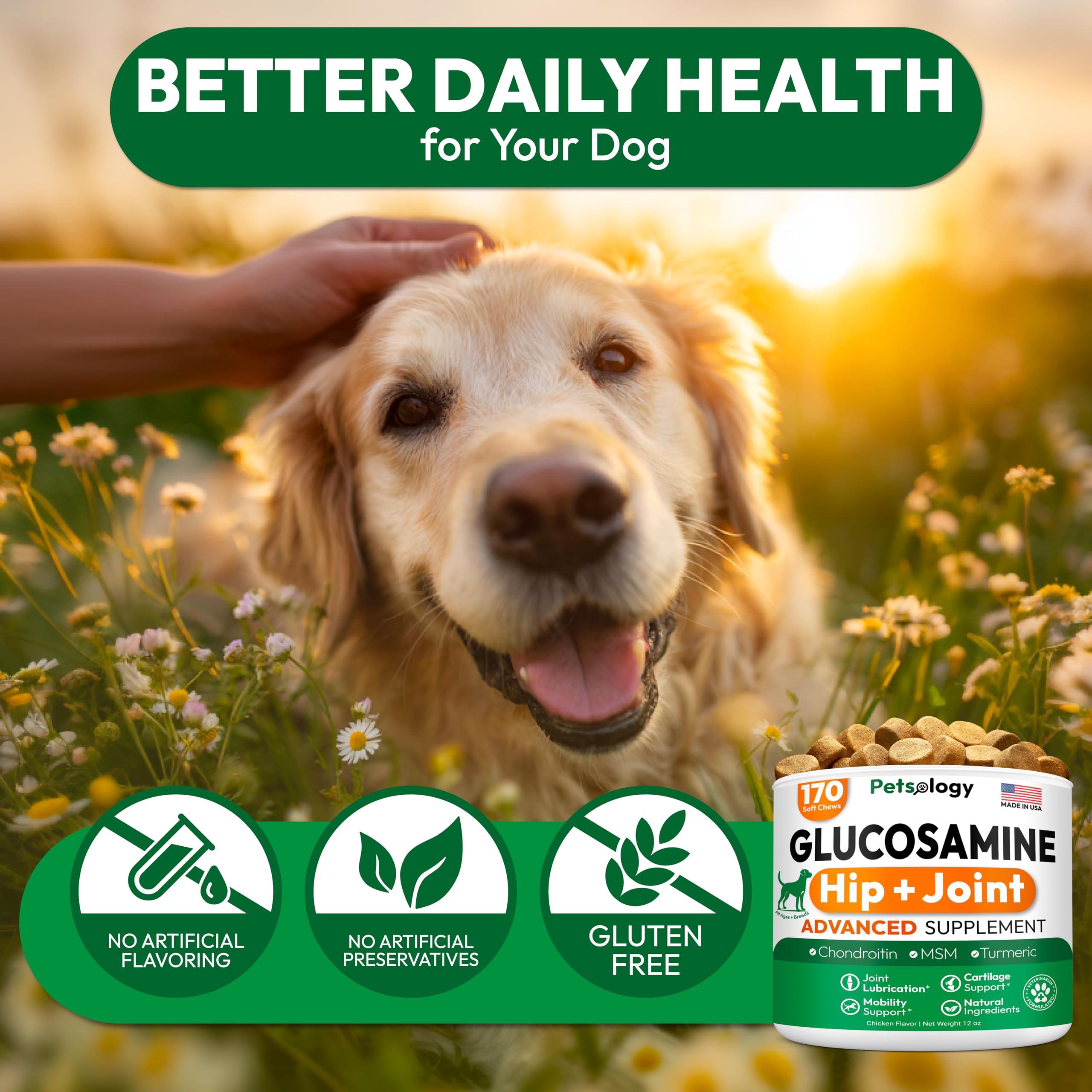 Petsology Glucosamine for Dogs ingredient panel highlights glucosamine and turmeric.