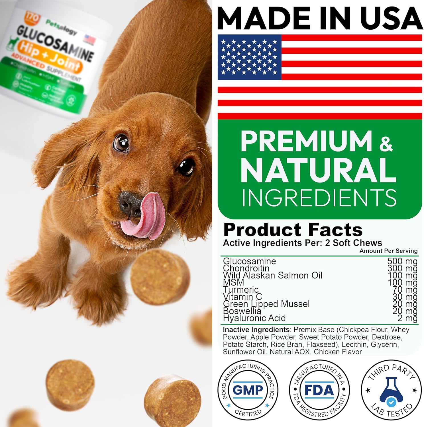 Petsology Glucosamine for Dogs MSM image emphasizing anti-inflammatory support
