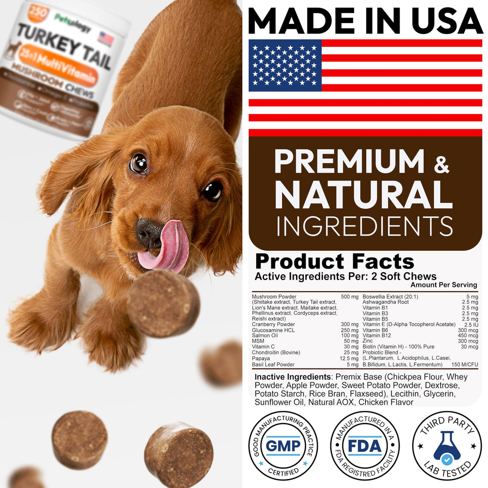 Petsology glucosamine panel highlights joint support.
