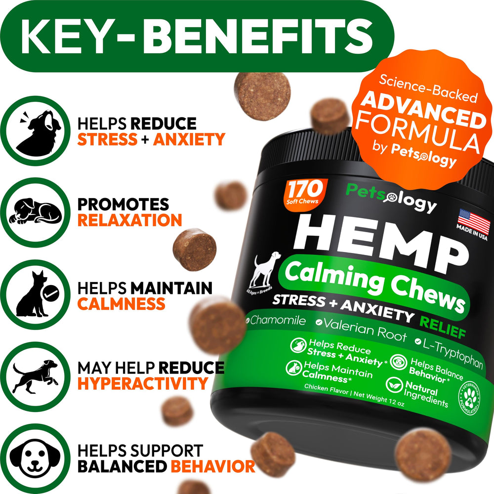 Petsology Hemp Calming Chews dog paw closeup showing chew texture