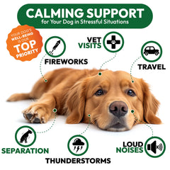 Petsology Hemp Calming Chews melatonin ingredient label