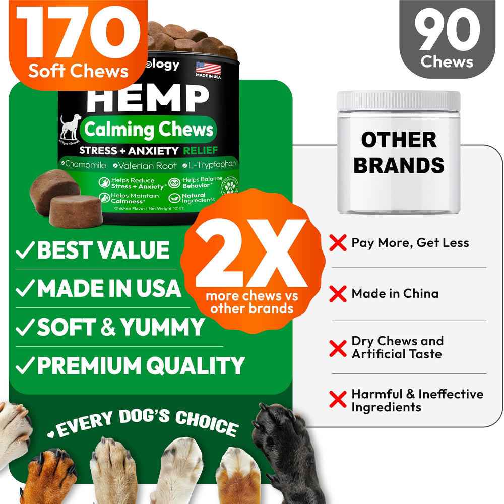 Petsology Hemp Calming Chews separation anxiety use scene