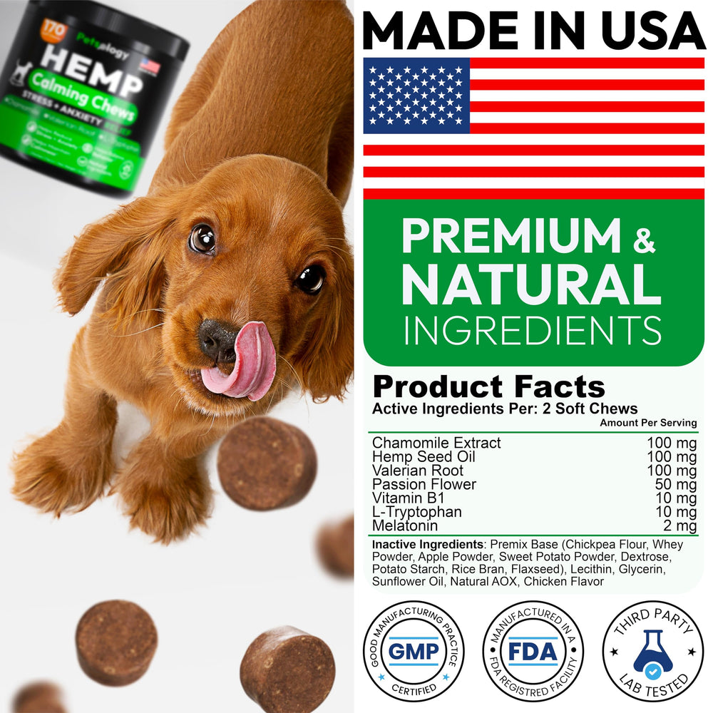 Petsology Hemp Calming Chews thunderstorm relief scene