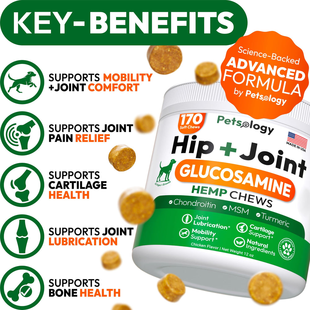 Petsology hemp hip and joint chews packaging with label