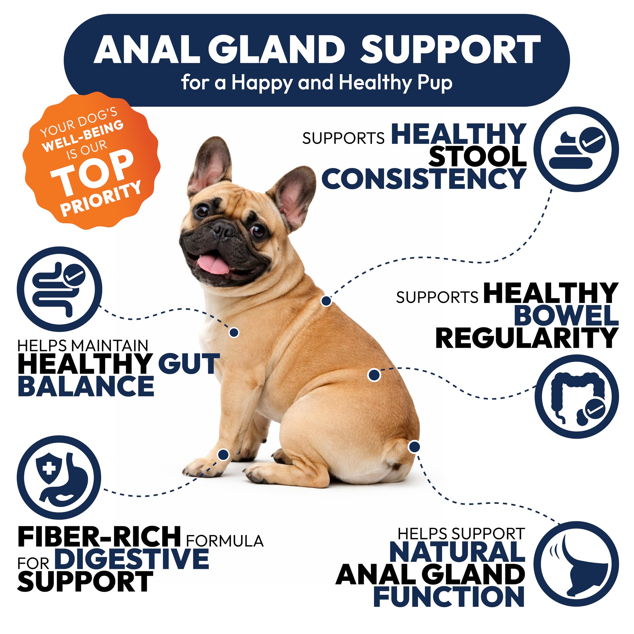 Petsology pumpkin and psyllium ingredients; fiber supports regular bowel function.