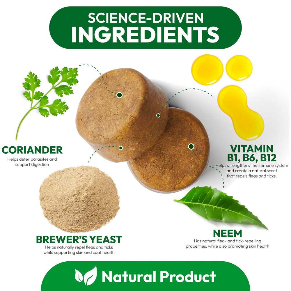 Petsology natural ingredients list highlights a gentle, chemical-free approach.