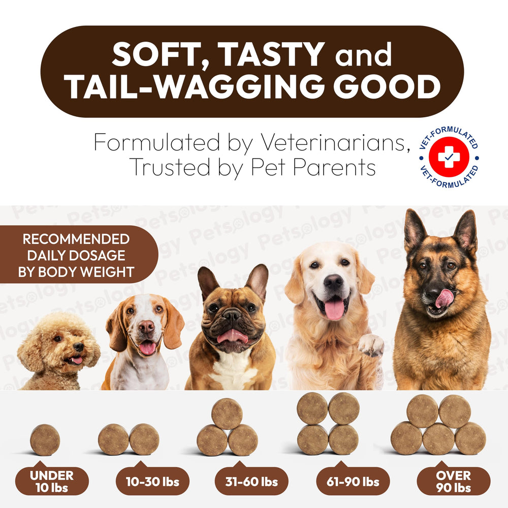 Petsology no sugar wheat corn GMOs badge on package.