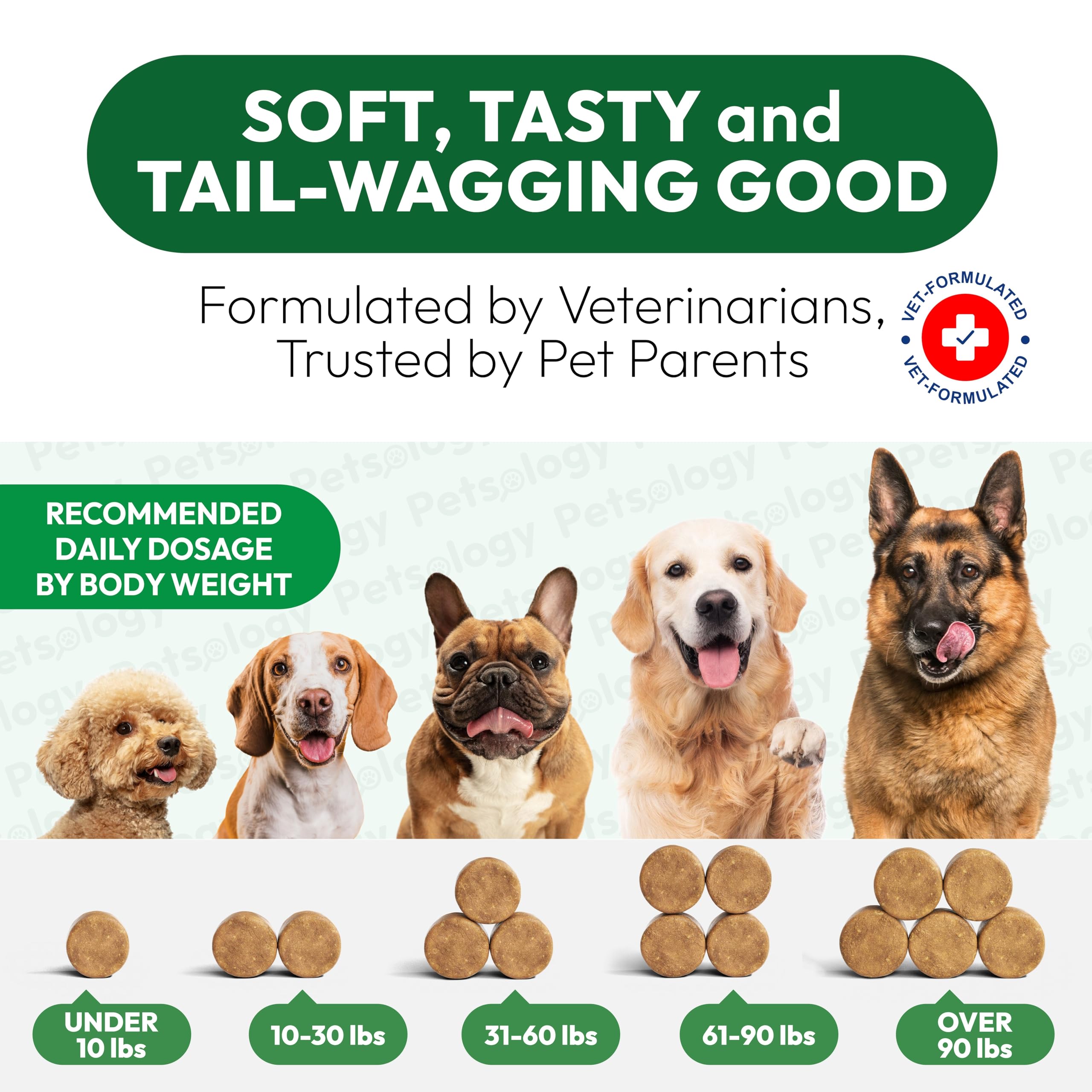 Petsology packaged chews in a compact box for travel.