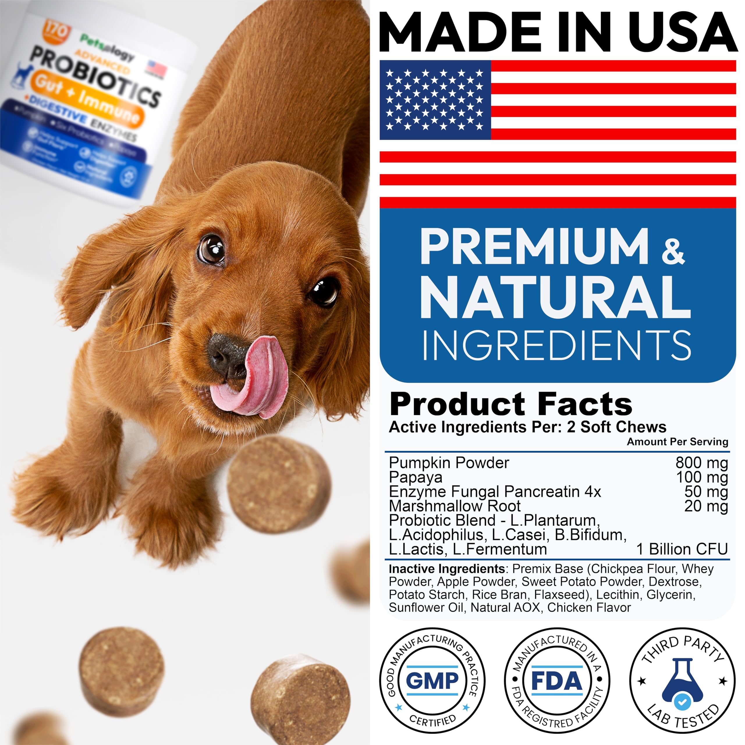 Petsology Probiotic chew texture highlights natural ingredients and palatability.