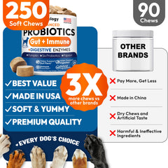 Petsology Probiotics for Dogs chews in bowl aid digestion and promote firm stools.