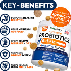 Petsology Probiotics for Dogs chew texture closeup showcases premium ingredients for gut health.