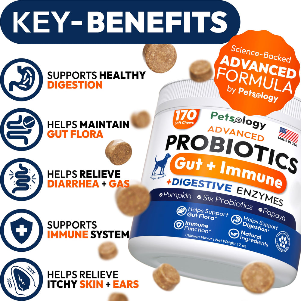 Petsology Probiotics for Dogs chews serving from bottle enables easy daily digestion support.
