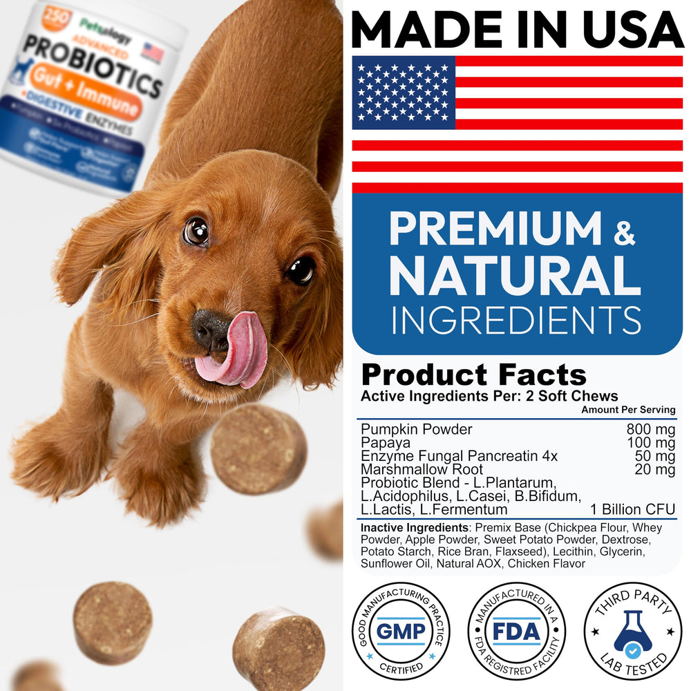 Petsology Probiotics for Dogs packaging box conveys complete digestive support for pets.