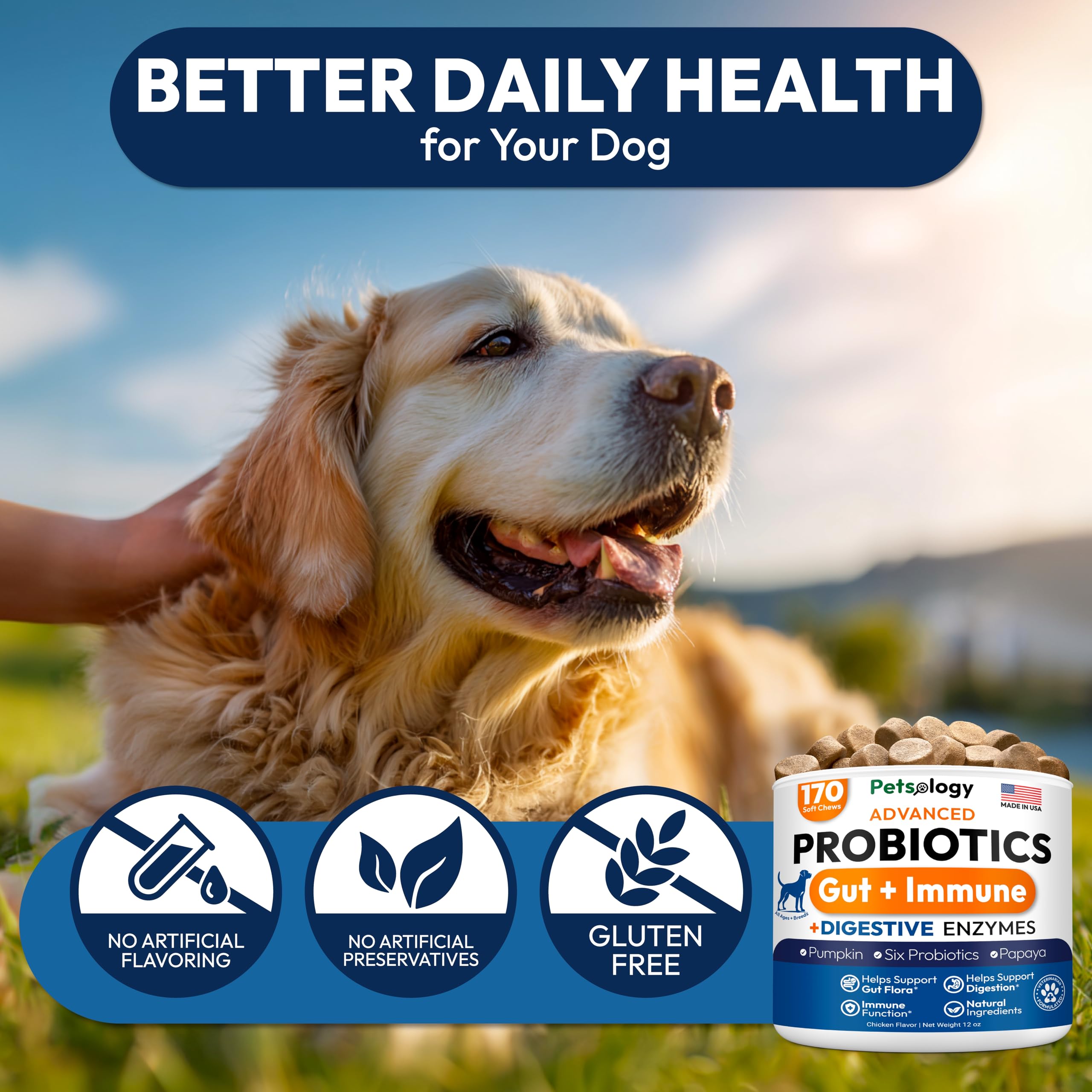 Petsology Probiotics for Dogs with prebiotics supports gut balance and immune health.