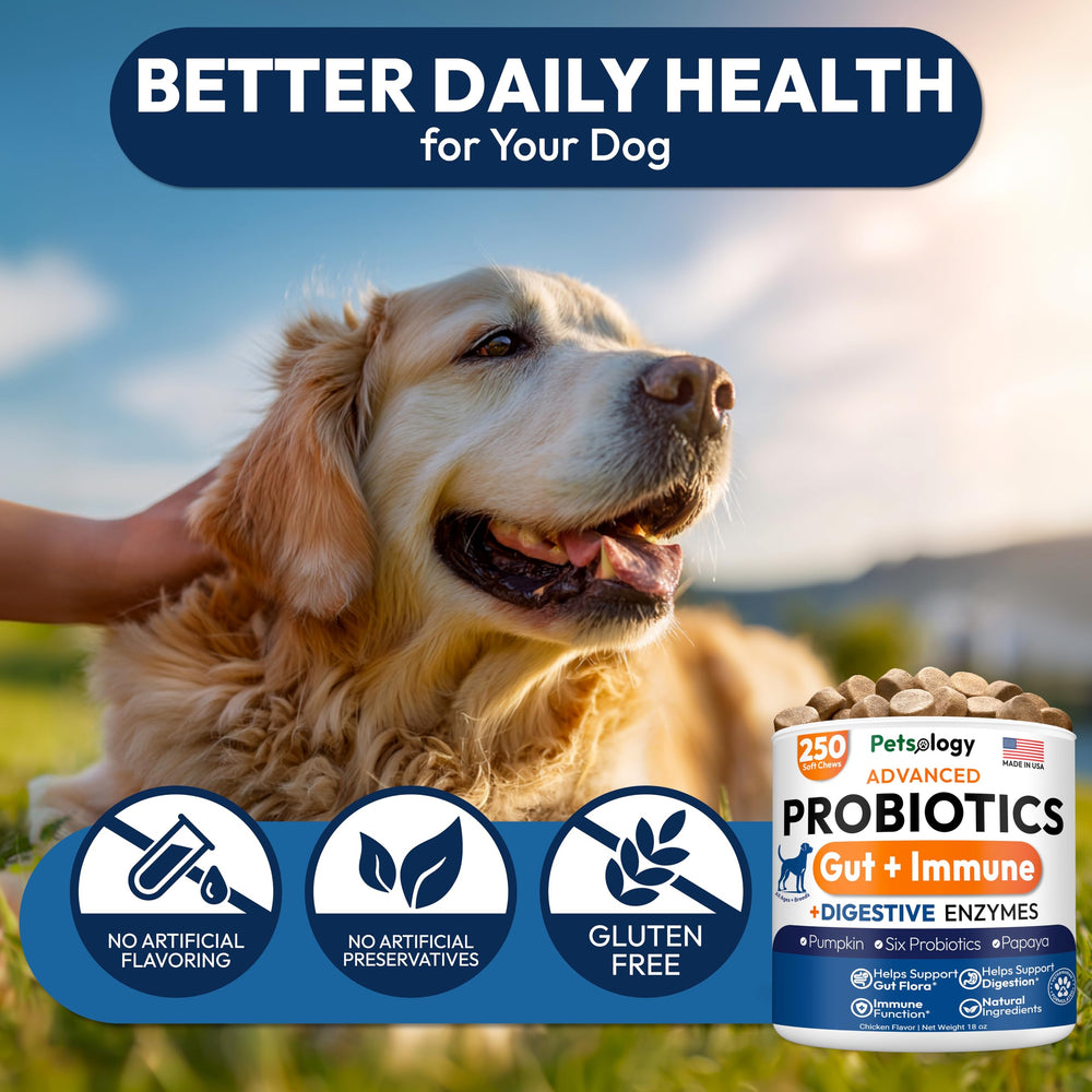 Petsology Probiotics for Dogs serving time shows convenient chews for daily use.