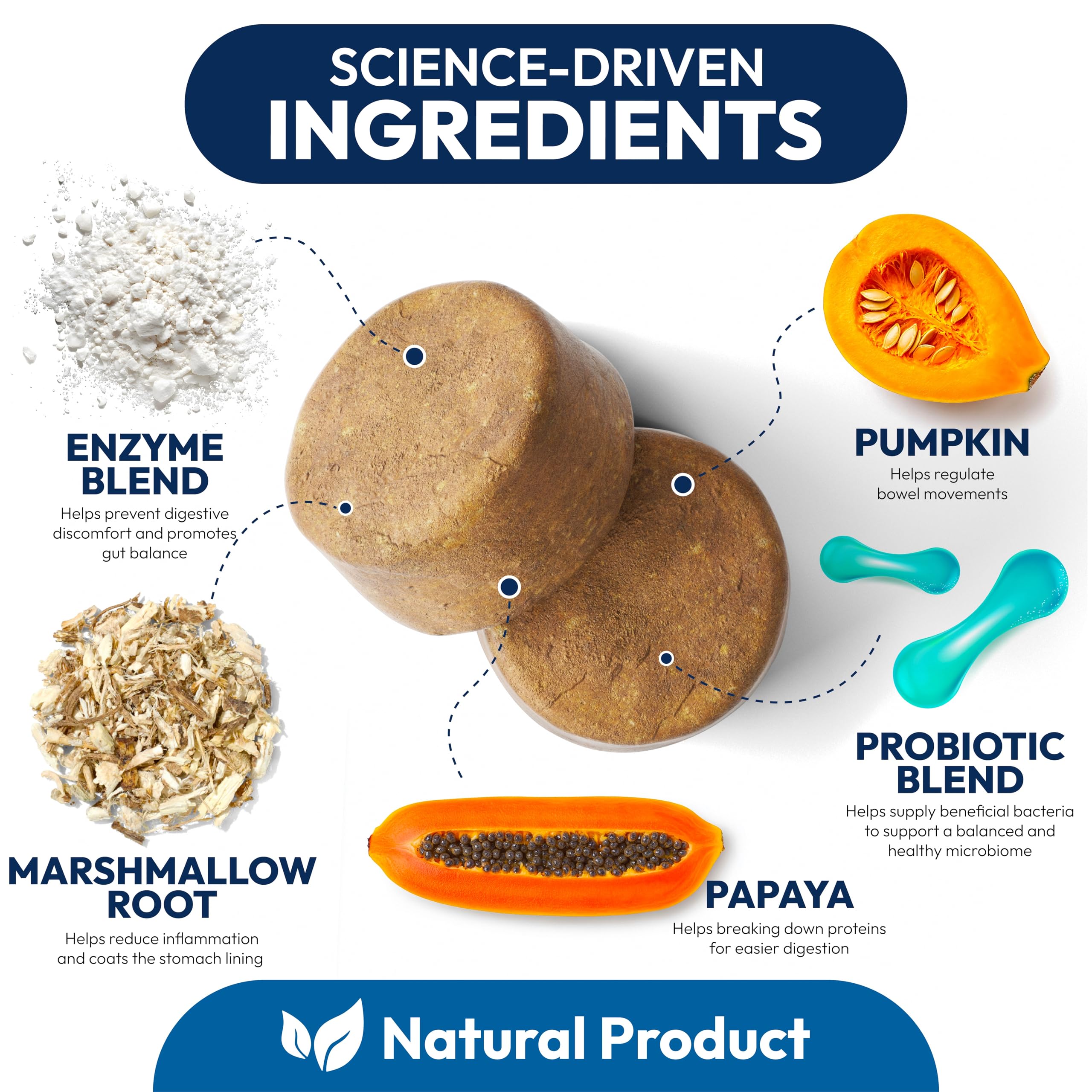 Petsology Probiotics for Dogs promotes yeast balance for skin and ears comfort.