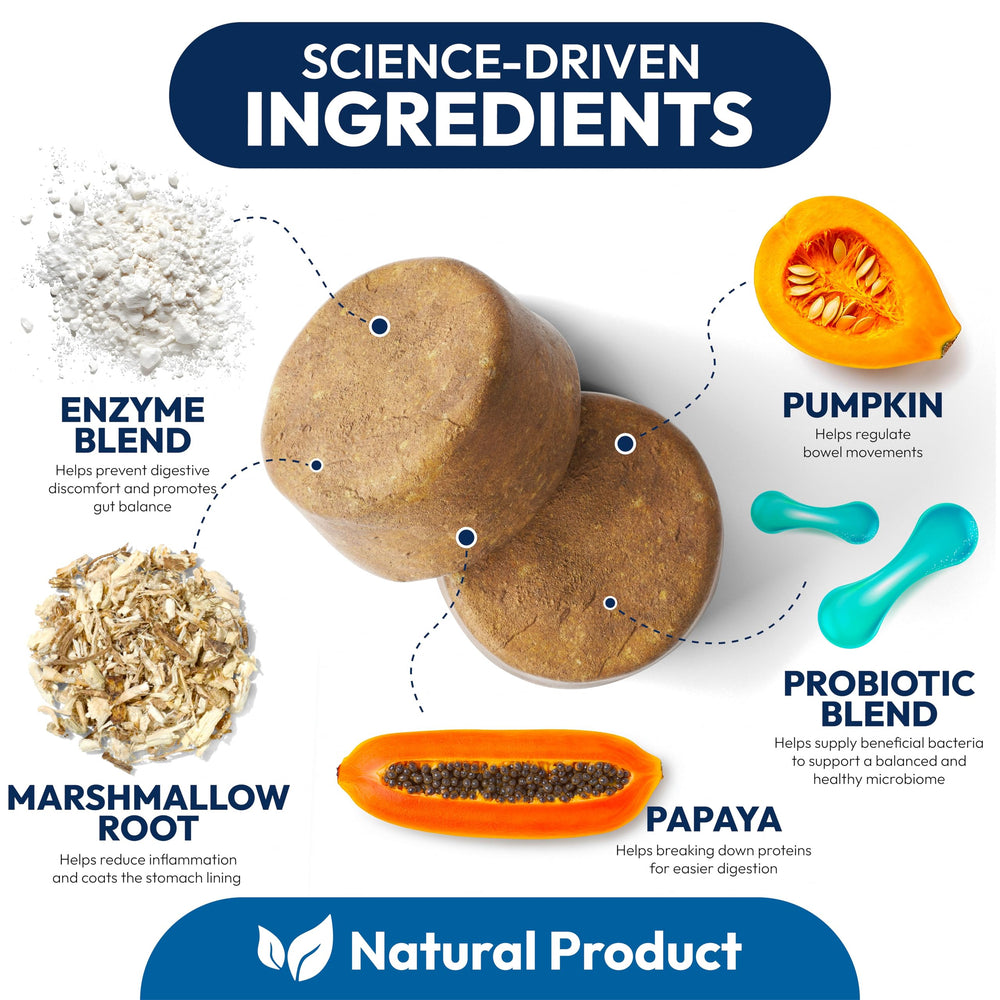 Petsology Probiotics for Dogs promotes yeast balance for skin and ears comfort.