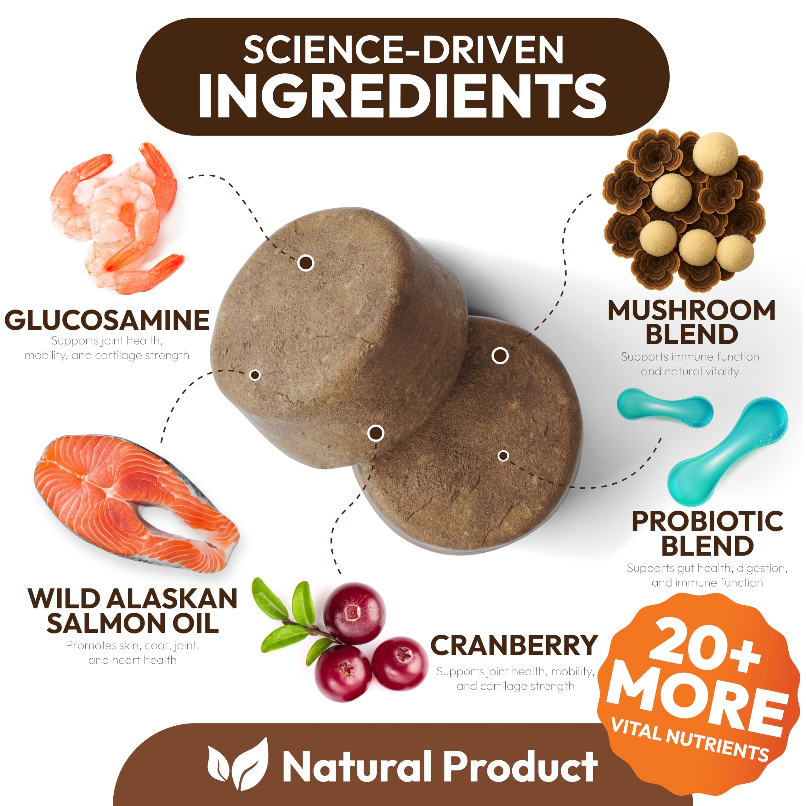 Petsology reishi dogs immunity chews display premium mushroom blend for wellness.