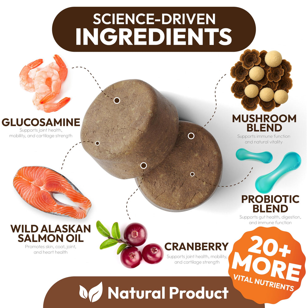 Petsology reishi dogs immunity chews display premium mushroom blend for wellness.
