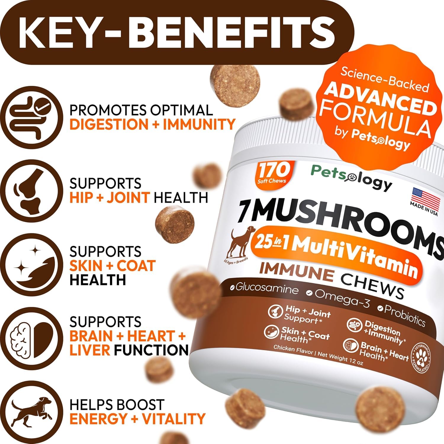 Petsology Reishi and Lion’s Mane bottle emphasize cognitive support and daily energy.