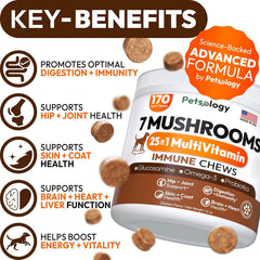 Petsology Reishi and Lion’s Mane bottle emphasize cognitive support and daily energy.