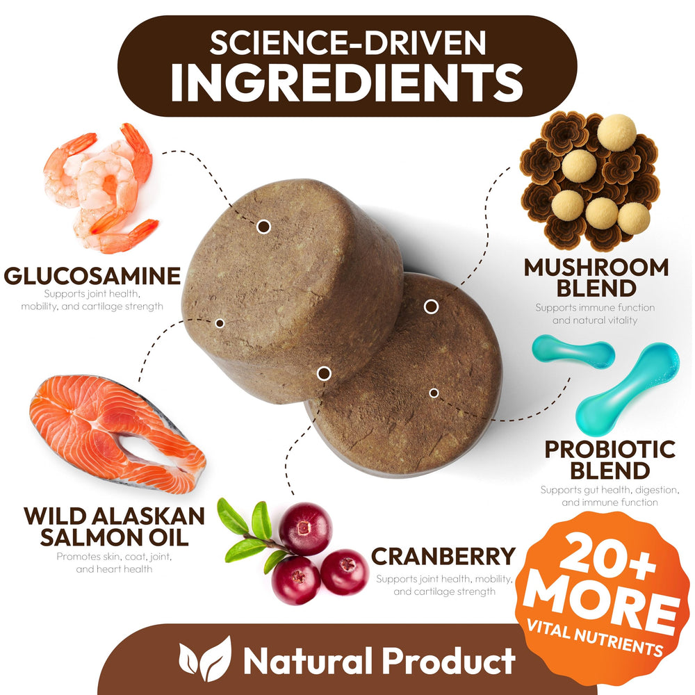 Petsology seven-mushrooms blend close-up with premium ingredients.