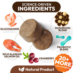 Petsology seven-mushrooms blend close-up with premium ingredients.