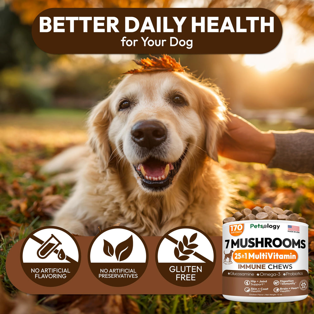 Petsology Skin and coat focus dog supplement image suggests healthier fur and skin.