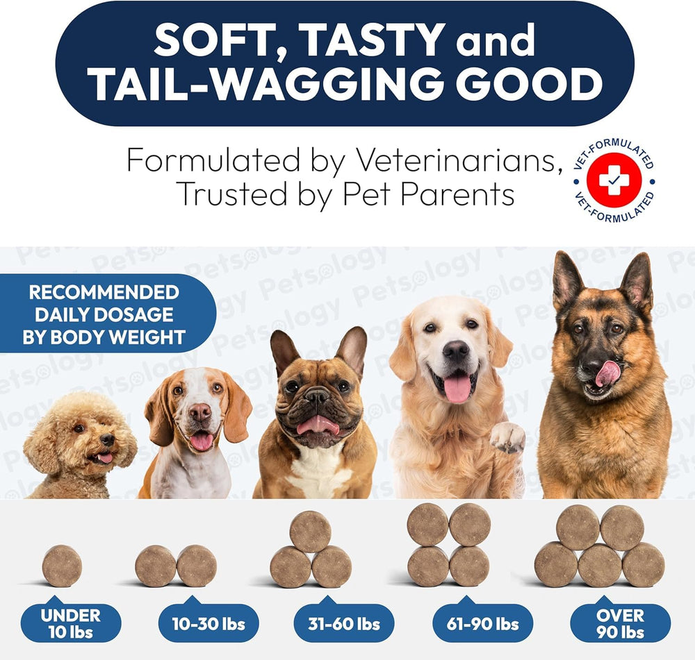 Petsology illustration hinting skin and ear comfort for dogs