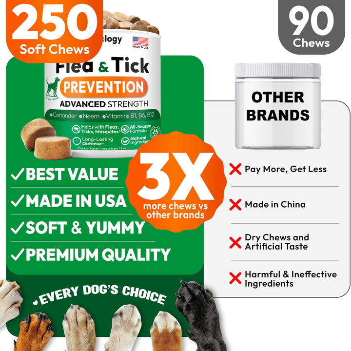 Petsology soft chews for dogs show tasty, easy administration.
