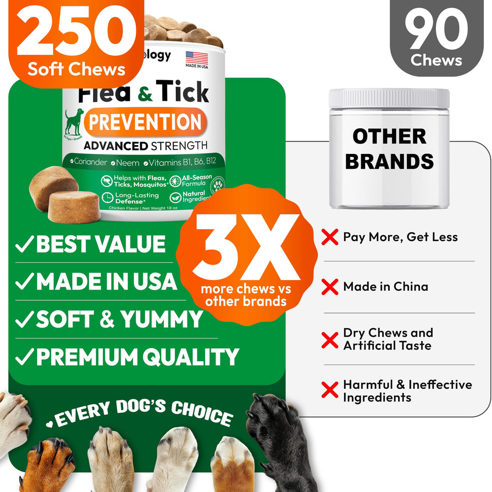 Petsology soft chews for dogs show tasty, easy administration.