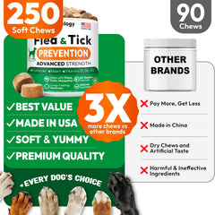 Petsology soft chews for dogs show tasty, easy administration.